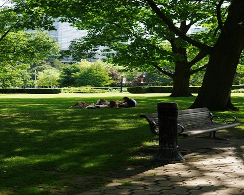Person resting on a bench in a city park during the weekend